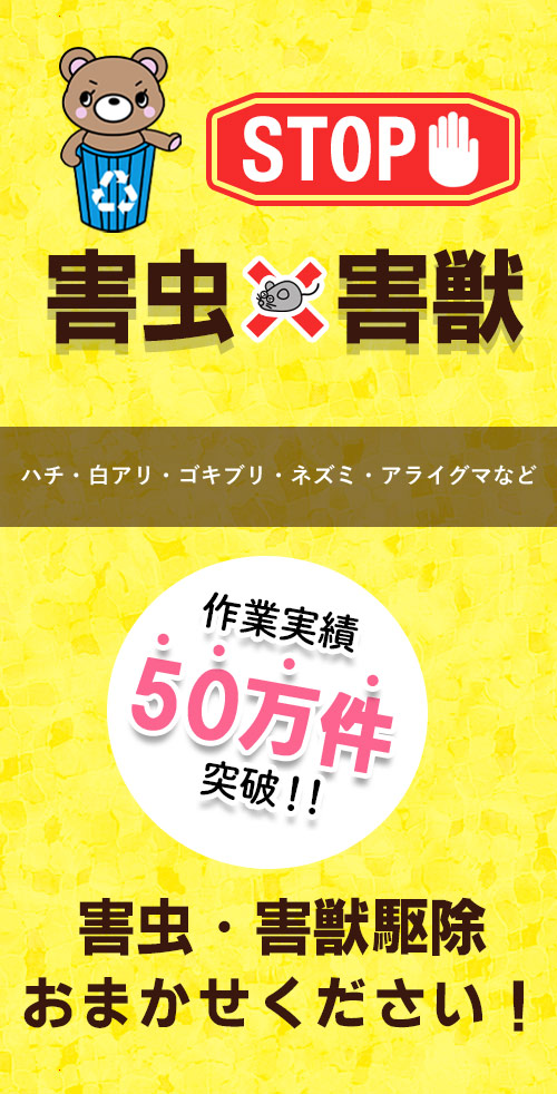 ごみっくま,害虫,害獣,害虫駆除,害獣駆除？