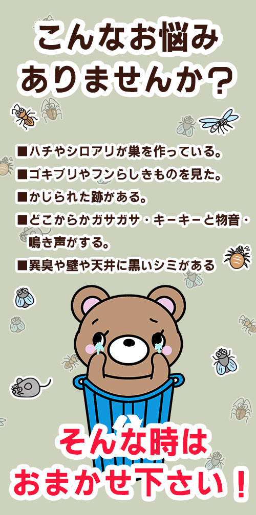 ごみっくま,害虫,害獣,害虫駆除,害獣駆除,こんなお悩みありませんか